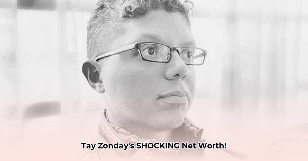 tay-zonday-net-worth